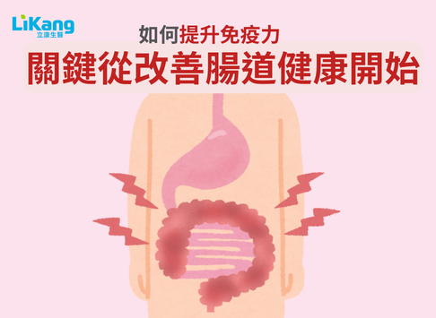 好腸道、好免疫、好健康！提升免疫力關鍵：從改善腸道健康開始